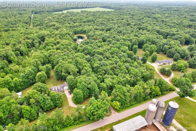 6275 Caine Rd, Vassar, MI 48768 - drone / aerial view of a forest