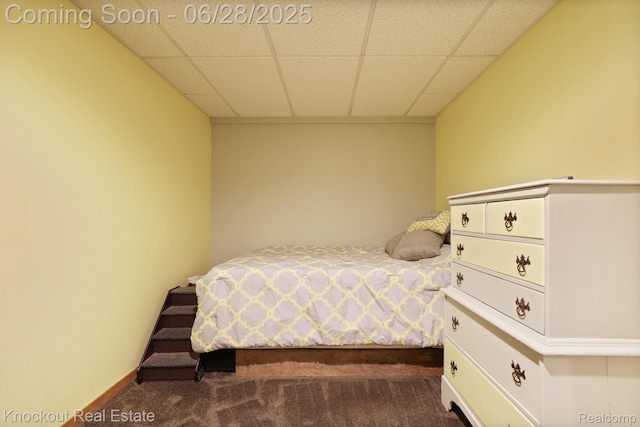 6275 Caine Rd, Vassar, MI 48768 - bedroom with carpet and a paneled ceiling