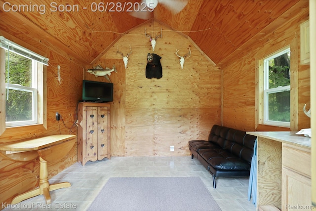 6275 Caine Rd, Vassar, MI 48768 - unfurnished room featuring lofted ceiling, wood walls, and wood ceiling