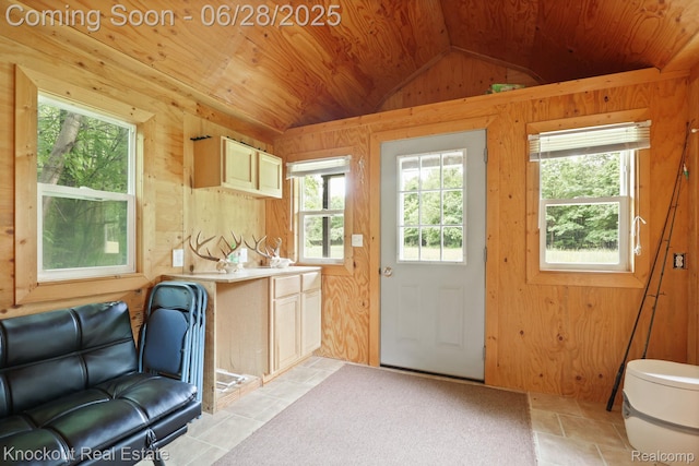6275 Caine Rd, Vassar, MI 48768 - kitchen with lofted ceiling, wood walls, wooden ceiling, and light countertops