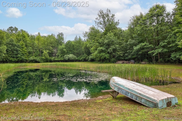 6275 Caine Rd, Vassar, MI 48768 - water view with a heavily wooded area