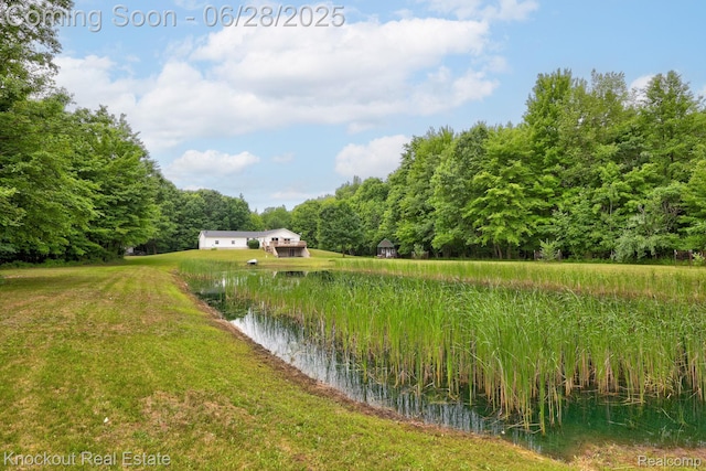 6275 Caine Rd, Vassar, MI 48768 - view of yard with a forest view