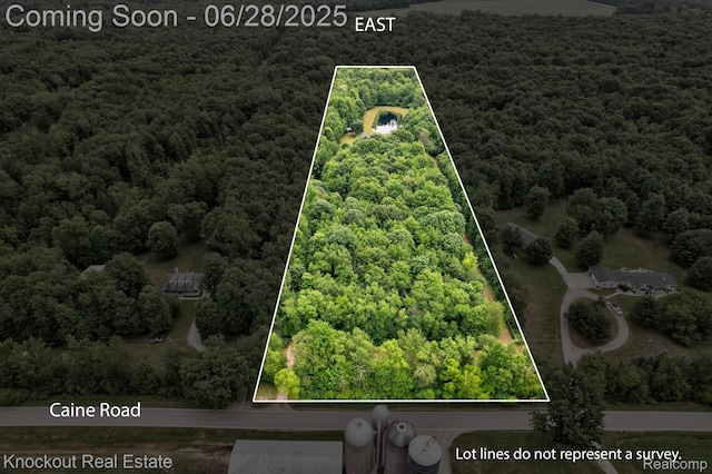 6275 Caine Rd, Vassar, MI 48768 - drone / aerial view of a forest