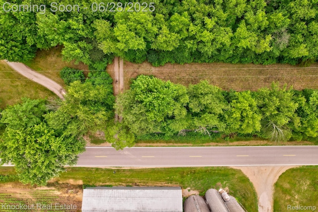 6275 Caine Rd, Vassar, MI 48768 - bird's eye view