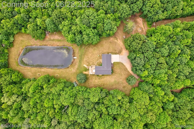 6275 Caine Rd, Vassar, MI 48768 - aerial view of property's location