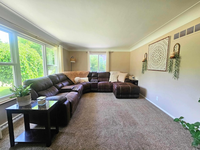 5365 Flushing Rd, Flushing, MI 48433 - carpeted living area with healthy amount of natural light and crown molding