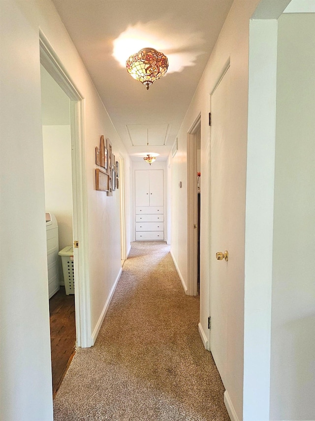 5365 Flushing Rd, Flushing, MI 48433 - hallway with attic access, carpet floors, and washer / dryer
