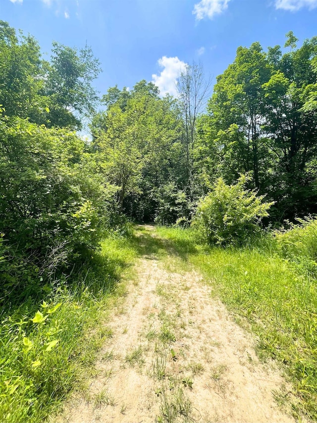 5365 Flushing Rd, Flushing, MI 48433 - view of tree filled area