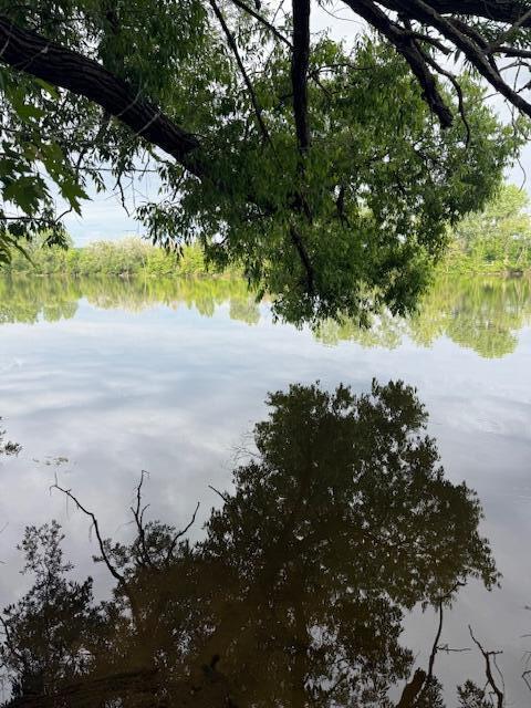 3903 Willow Dr NE, Grand Rapids, MI 49525 - view of nature featuring a large body of water