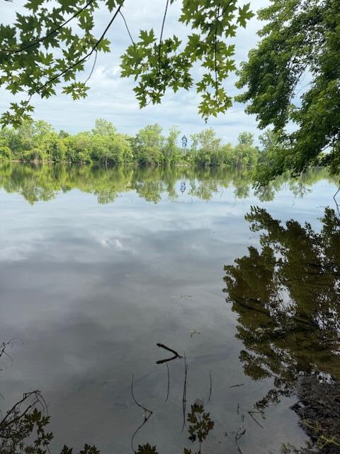 3903 Willow Dr NE, Grand Rapids, MI 49525 - water view