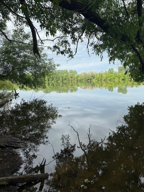 3903 Willow Dr NE, Grand Rapids, MI 49525 - view of local wilderness featuring a nearby body of water