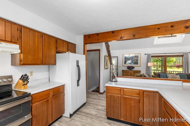 8651 22 Mile Rd NE, Sand Lake, MI 49343 - kitchen with stainless steel electric stove, under cabinet range hood, light countertops, light wood-style flooring, and freestanding refrigerator