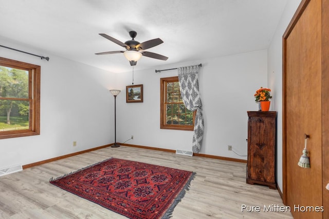 8651 22 Mile Rd NE, Sand Lake, MI 49343 - empty room featuring plenty of natural light, light wood finished floors, and ceiling fan