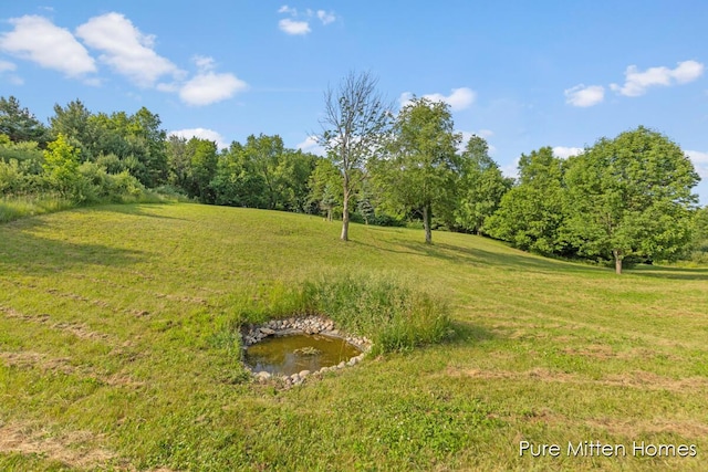 8651 22 Mile Rd NE, Sand Lake, MI 49343 - view of grassy yard