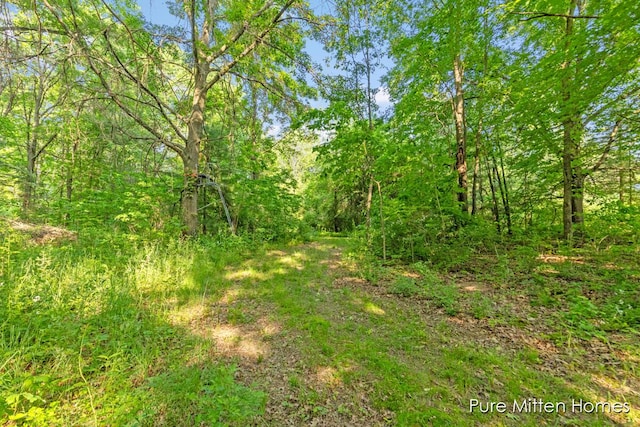 8651 22 Mile Rd NE, Sand Lake, MI 49343 - view of tree filled area