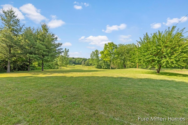 8651 22 Mile Rd NE, Sand Lake, MI 49343 - view of green lawn