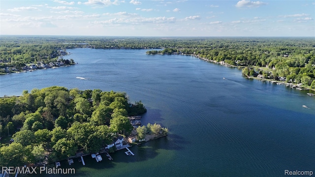 13368 N Fenton Rd, Fenton, MI 48430 - bird's eye view of a large body of water and a heavily wooded area