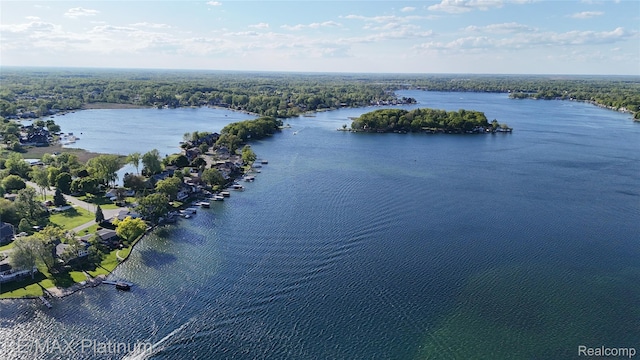 13368 N Fenton Rd, Fenton, MI 48430 - bird's eye view of a large body of water