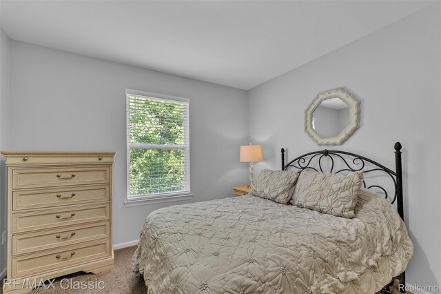 50306 Cressnut Ct, Northville, MI 48168 - photo 30