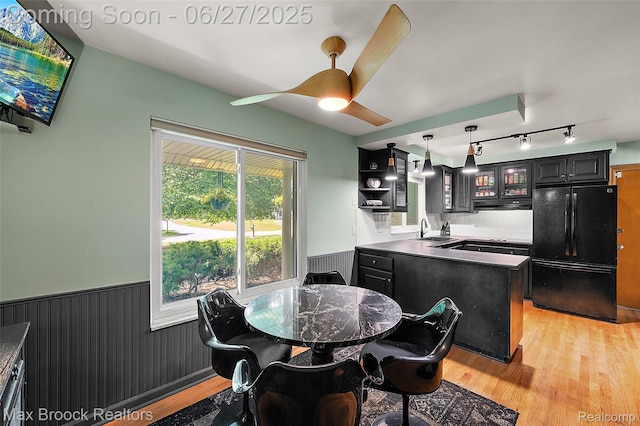 7189 Lindenmere Dr, Bloomfield Hills, MI 48301 - dining area with wainscoting, light wood finished floors, a ceiling fan, rail lighting, and radiator