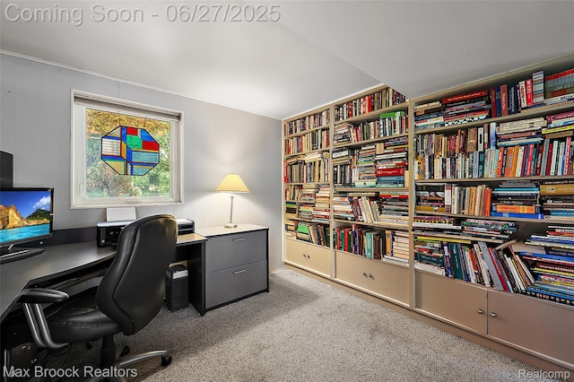 7189 Lindenmere Dr, Bloomfield Hills, MI 48301 - view of carpeted home office