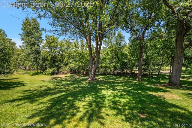 7189 Lindenmere Dr, Bloomfield Hills, MI 48301 - view of grassy yard