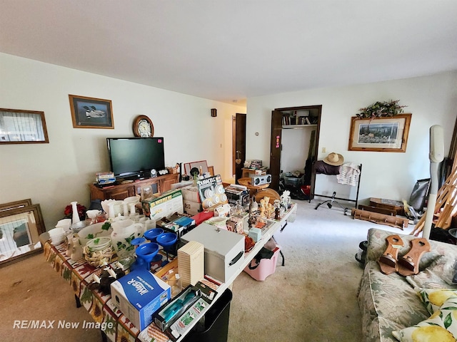 504 Abingdon St, Chesaning, MI 48616 - view of carpeted living area