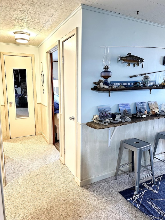 24579 US Highway 23 N, Ocqueoc, MI 49759 - hall featuring crown molding, carpet flooring, and a wainscoted wall