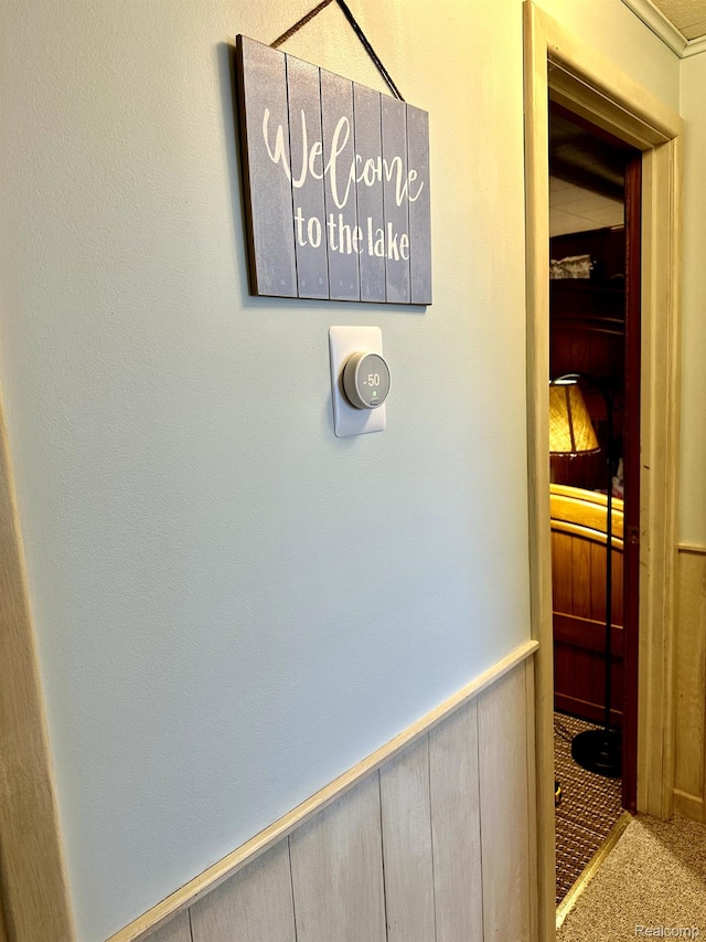 24579 US Highway 23 N, Ocqueoc, MI 49759 - detailed view of carpet flooring and wainscoting