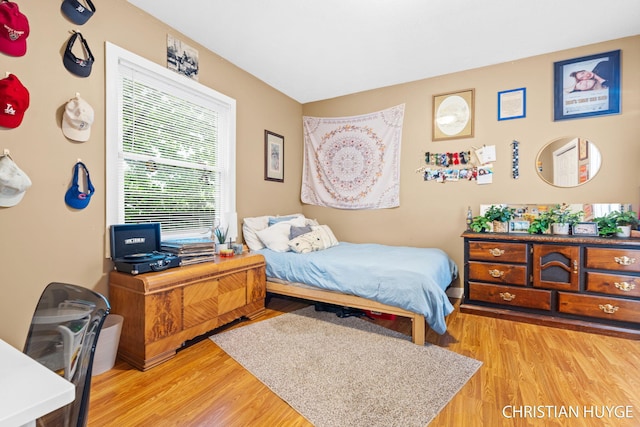 831 Bridge St NW, Grand Rapids, MI 49504 - bedroom featuring light wood-type flooring