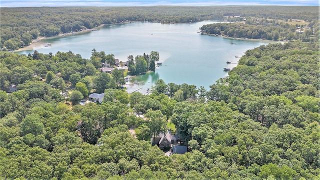 5254 Morrison St, Newaygo, MI 49337 - drone / aerial view of a nearby body of water