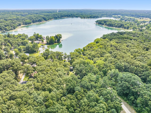 5254 Morrison St, Newaygo, MI 49337 - bird's eye view of a heavily wooded area and a large body of water