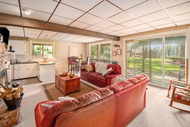 5254 Morrison St, Newaygo, MI 49337 - living area with healthy amount of natural light, light colored carpet, and a drop ceiling