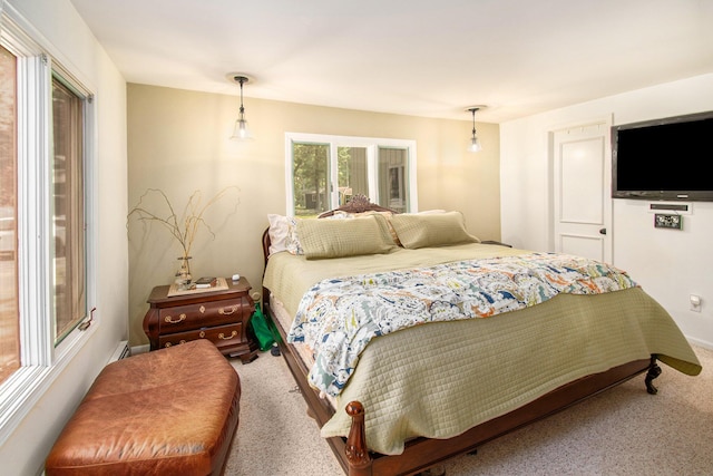 5254 Morrison St, Newaygo, MI 49337 - bedroom with carpet flooring