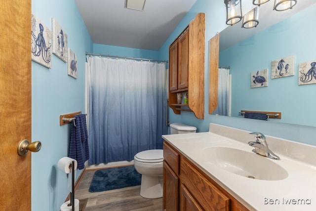 679 Waterview Ct SW, Grandville, MI 49418 - bathroom featuring vanity, wood finished floors, and a shower with curtain