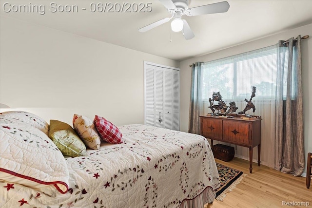 43603 Arlington Rd, Canton, MI 48187 - bedroom with light wood finished floors, a closet, and a ceiling fan