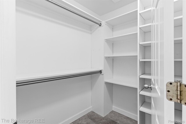 2048 Mayfair Dr, White Lake, MI 48383 - view of walk in closet