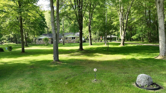 5724 E Townline Rd, Birch Run, MI 48415 - view of grassy yard