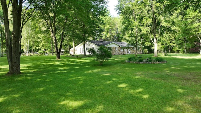 5724 E Townline Rd, Birch Run, MI 48415 - view of grassy yard