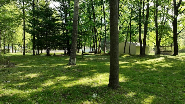 5724 E Townline Rd, Birch Run, MI 48415 - view of yard with an outbuilding