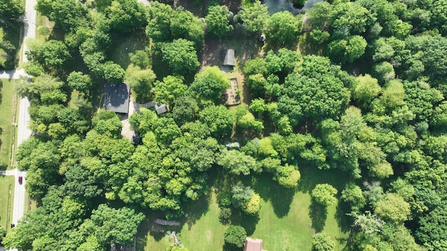 5724 E Townline Rd, Birch Run, MI 48415 - aerial view of property and surrounding area with property boundaries highlighted