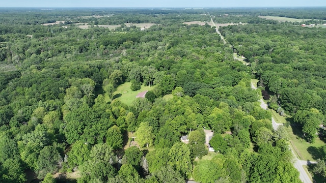 5724 E Townline Rd, Birch Run, MI 48415 - aerial view of property's location featuring a forest