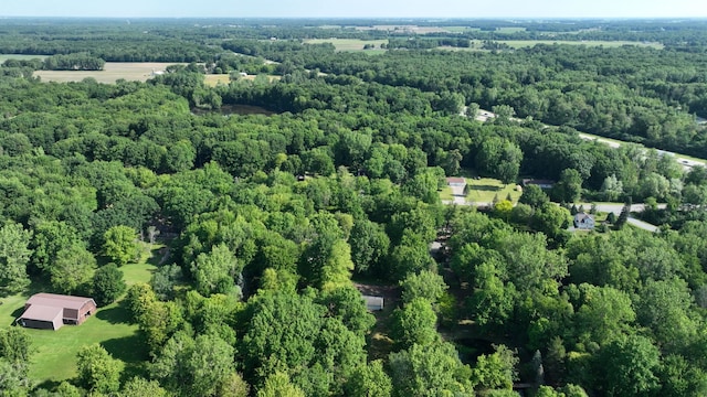 5724 E Townline Rd, Birch Run, MI 48415 - aerial view of a forest