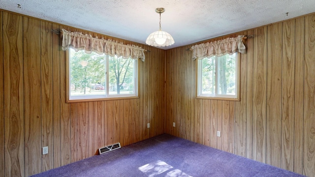 5724 E Townline Rd, Birch Run, MI 48415 - carpeted spare room with healthy amount of natural light, wooden walls, and a textured ceiling