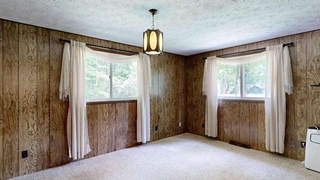 5724 E Townline Rd, Birch Run, MI 48415 - carpeted empty room featuring wooden walls and a textured ceiling