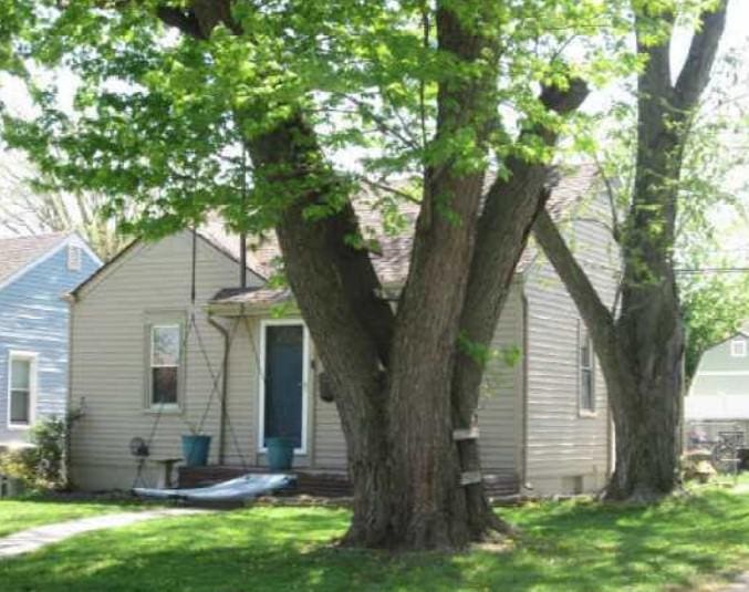2003 Moran Ave, Lincoln Park, MI 48146 - view of front of house featuring a front yard