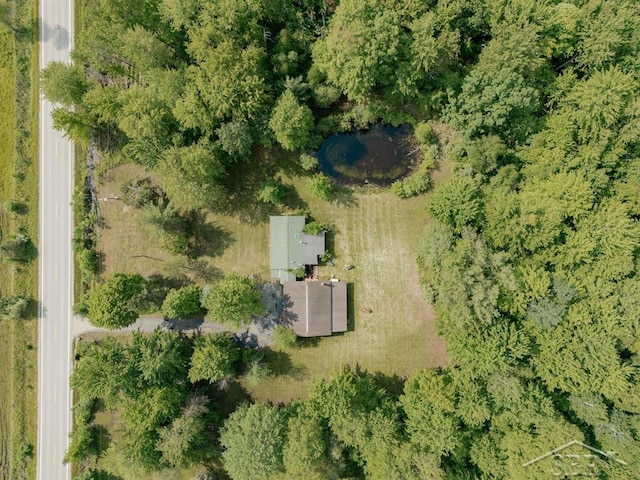 2190 S Coleman Rd, Shepherd, MI 48883 - aerial view of property's location