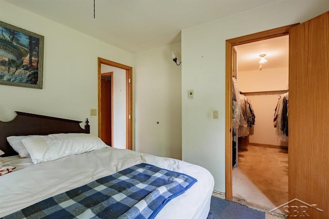 2190 S Coleman Rd, Shepherd, MI 48883 - bedroom with carpet flooring, a walk in closet, and a closet