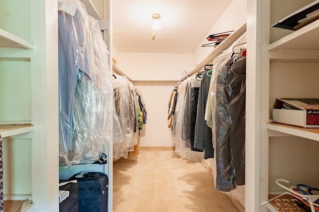 2190 S Coleman Rd, Shepherd, MI 48883 - walk in closet with carpet
