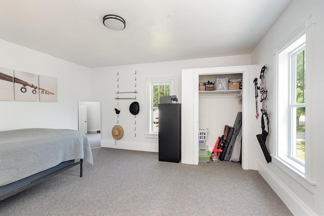 8015 Bloomer St, Carson City, MI 48811 - bedroom with carpet flooring and a closet